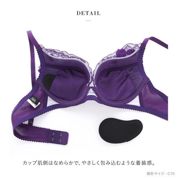 サルート ワコール Wacoal Salute 23AW 95G BTJ495 VIVA LINE サルート ワコール Wacoal Salute 23AW 95G BTJ495 VIVA LINE
