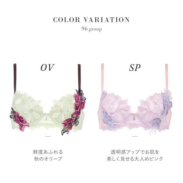 サルート ワコール Wacoal Salute 23AW 96G BTJ496 P-UP サルート ワコール Wacoal Salute 23AW 96G BTJ496 P-UP