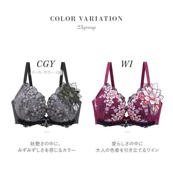 サルート（SALUTE） ワコール 23グループ 23G フロントエックスプラス