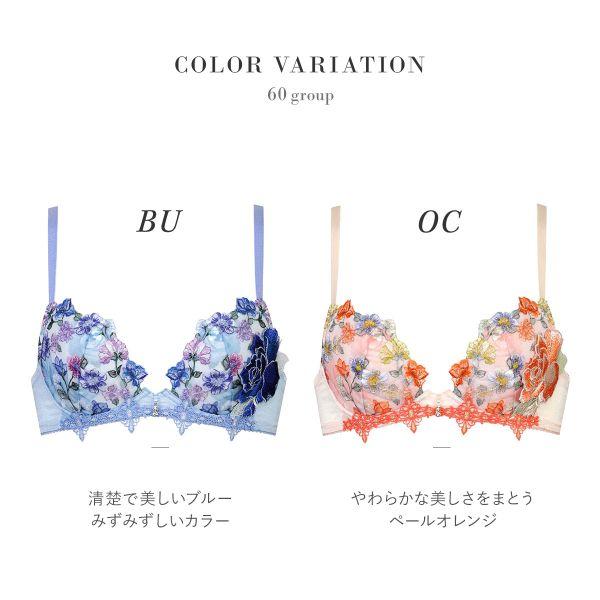 サルート ワコール 60グループ 60G フロントエックスプラス サルート ワコール 60グループ 60G フロントエックスプラス