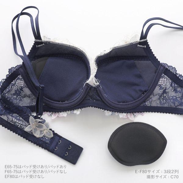 ワコール パーソナルフィットプラスブラ プレミアム 27series BXD427 27G ブラジャー DEF Wacoal 大きいサイズの画像