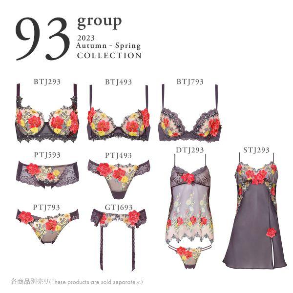 サルート ワコール Wacoal Salute 23AW 93G DTJ293 セットアップ サルート ワコール Wacoal Salute 23AW 93G DTJ293 セットアップ