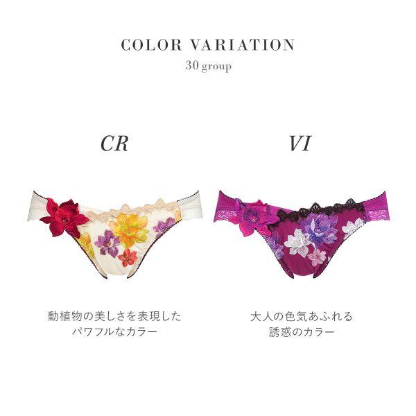 サルート ワコール Wacoal Salute 30G ショーツ ML ハイレッグ サルート ワコール Wacoal Salute 30G ショーツ ML ハイレッグ