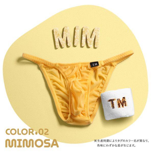 水着になります。タグは取りましたが一度も履いてません。