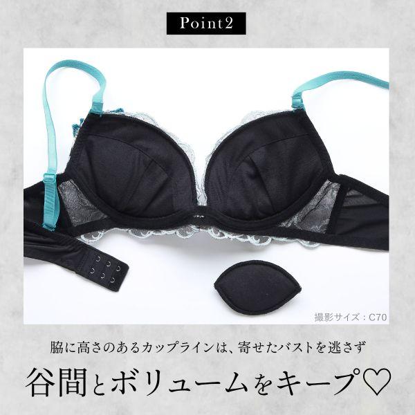 SHIROHATO（白鳩） ラブジェリー ロージーバイン ブラセット ABCD 盛り