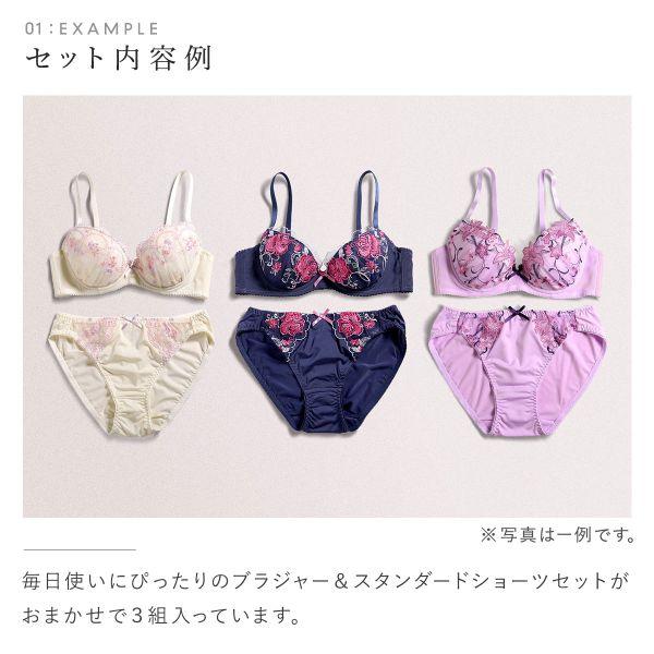 SHIROHATO ブラジャー ショーツセット 大きいサイズ アンダー80 SHIROHATO ブラジャー ショーツセット 大きいサイズ アンダー80
