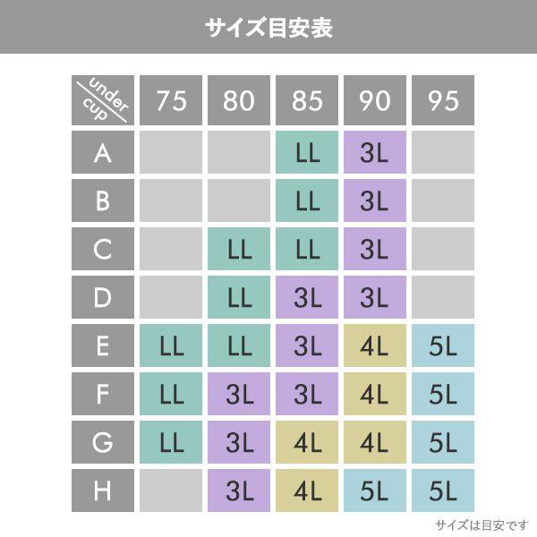 パンキュート PANCUTE すっきりらくちん 脇高 ノンワイヤー ブラセット LL 3L 4L 5L ブラジャー ショーツ セット グラマー｜shirohato｜12