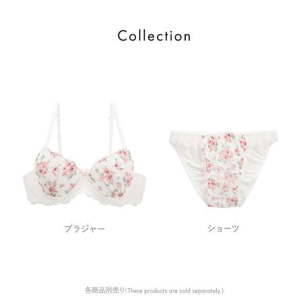 ブラヘア アルマータ F 特白個体 FG DRAGON ダッドスニーカー《D.A.T.E.》｜Goods（グッズ