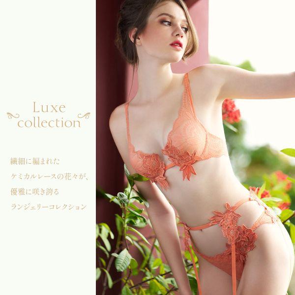 ANNEBRA Richレースブラジャー アンブラ アンブラ ANNEBRA Rich BLOOM UP ブラジャー ハイネック BCDEFG