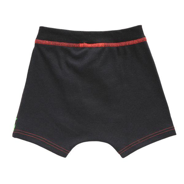 SHIROHATO ピクミン キッズ ジュニア ボクサーブリーフ 2枚