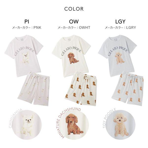 gelato piqué ❤️新品　ドッグ柄上下セット gelato piqué ❤️新品 ドッグ柄上下セット ジェラートピケ