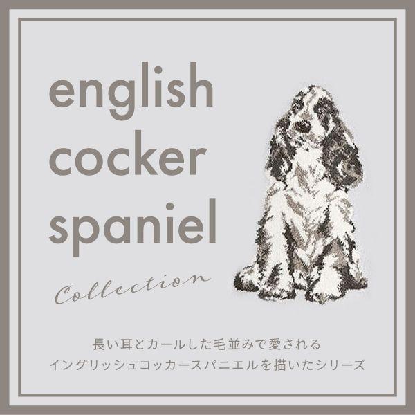 gelato pique ジェラートピケ オム GELATO PIQUE メンズ HOMME gelato pique ジェラートピケ オム GELATO PIQUE メンズ HOMME