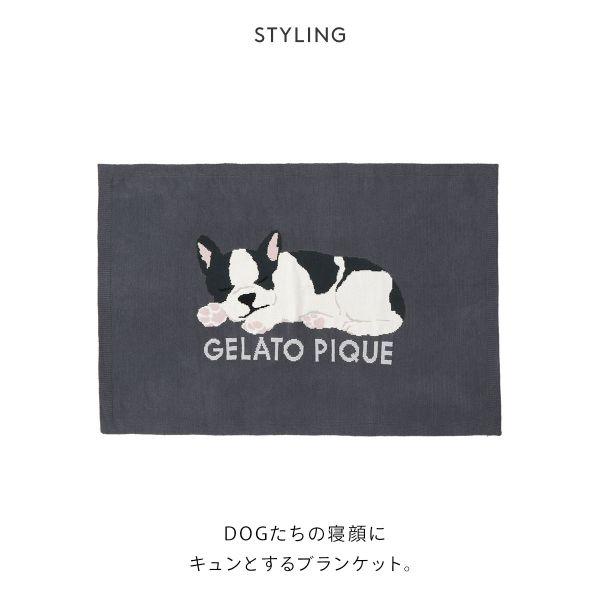 ジェラートピケ SLEEPING DOG ジャガードブランケット