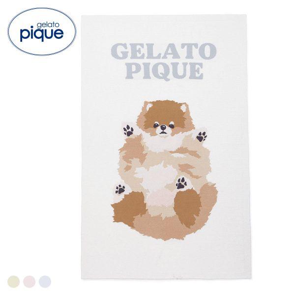 ジェラートピケ ドッグジャガードブランケット ジェラピケ gelato pique｜SHIROHATO(白鳩)