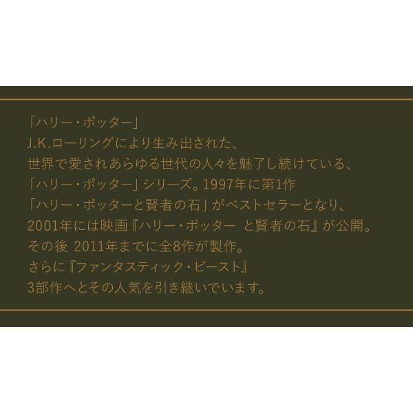 スナイデルホーム Mens Harry Potter モチーフロングTシャツ パジャマ ルームウェア メンズ SNIDEL HOME ハリー・ポッター | SNIDEL | 12