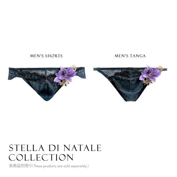 HIMICO 煌びやかな幸福に満ち溢れる Stella di Natale フルバック パンツ レース ビキニ ブリーフ メンズ M L 018series｜shirohato｜08