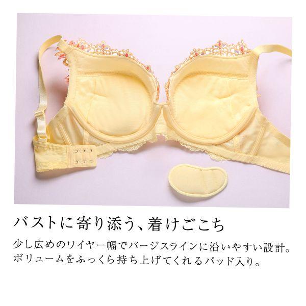 himico HIMICO GRANDE 002 ブラジャー 大きいサイズ GHI 65-85 himico HIMICO GRANDE 002 ブラジャー 大きいサイズ GHI 65-85