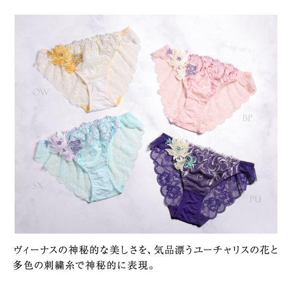 himico ヒミコ 024シリーズ ショーツ スタンダード M L バック
