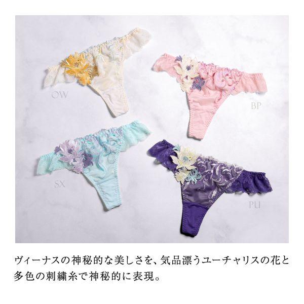 himico ヒミコ 024シリーズ ショーツ Tバック ソング タンガ M L himico ヒミコ 024シリーズ ショーツ Tバック ソング タンガ M L