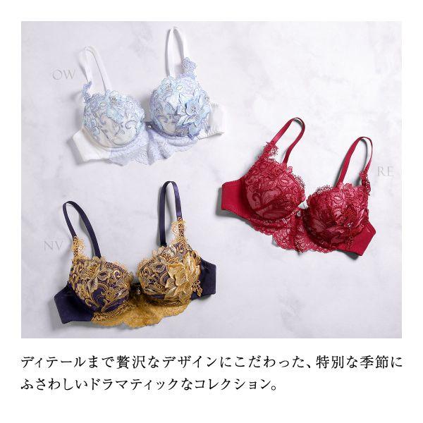 HIMICO 025シリーズ　フルセット C65 Mサイズ himico ヒミコ 025シリーズ ブラジャー 大きいサイズ アンダー80