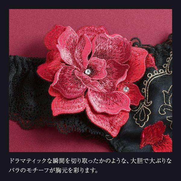 himico ヒミコ 033シリーズ ショーツ Tバック ソング タンガ M L