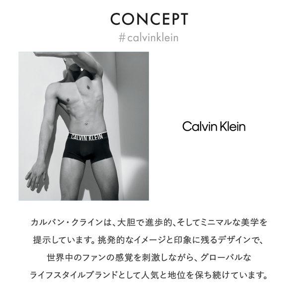 カルバン・クライン Calvin Klein CK 1996 FASHION LOW RISE TRUNK ローライズ ボクサーパンツ メンズ 前閉じ｜shirohato｜04