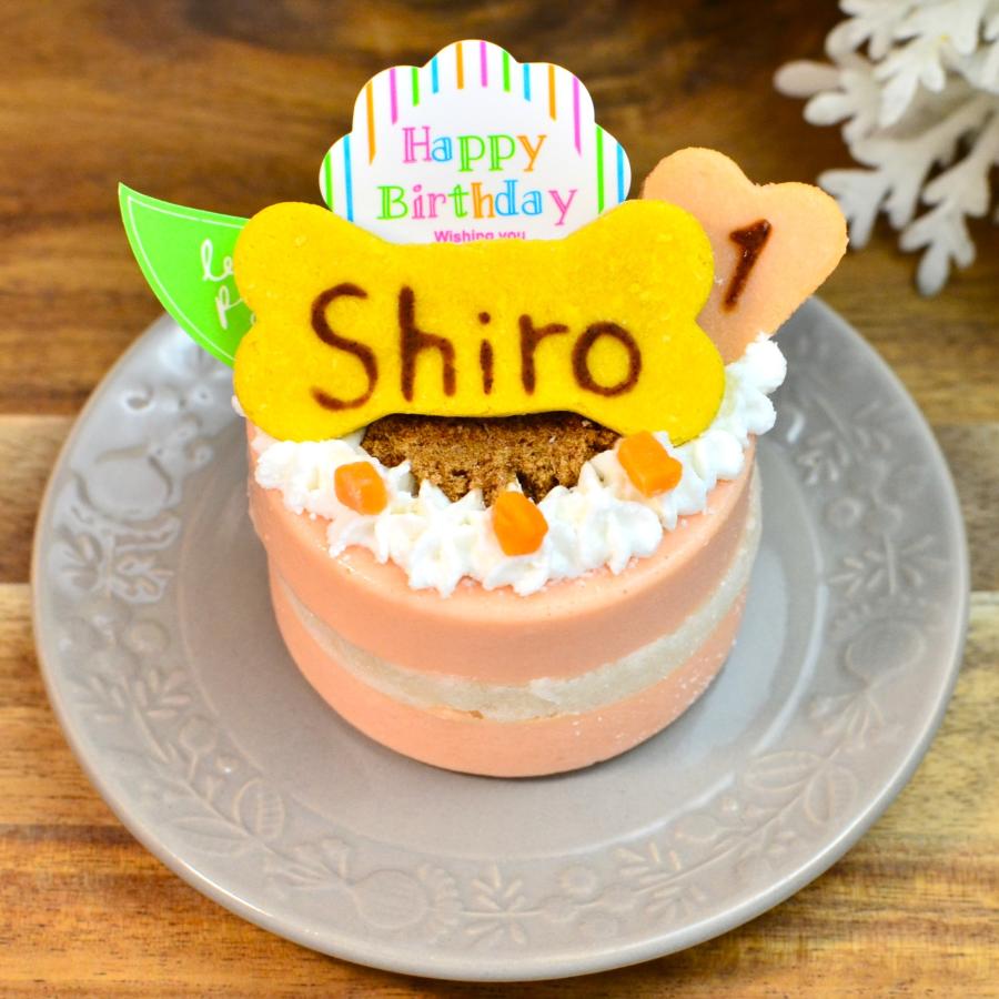 犬猫用 ケーキ おさかなケーキ 冷凍品 お名前 年齢入り A しろいぬカフェ ヤフーショップ 通販 Yahoo ショッピング