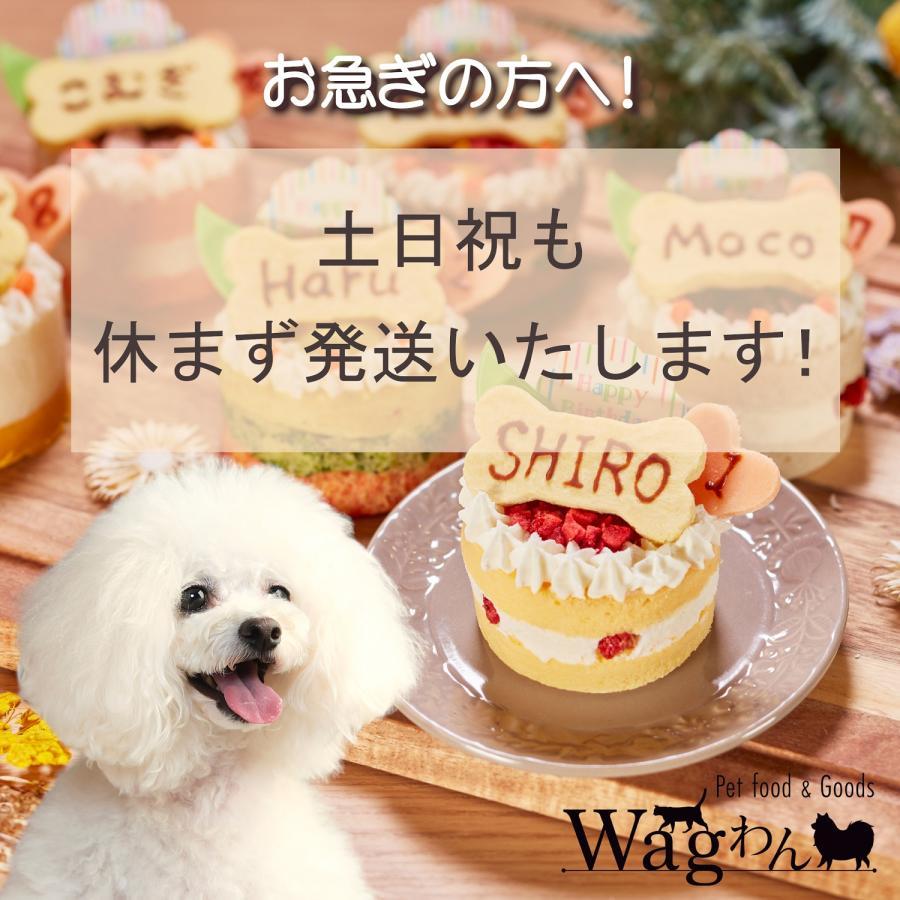 犬用 おやつ 米粉の焼きドーナツ 3個セット 冷凍品 : Wagわん ヤフー
