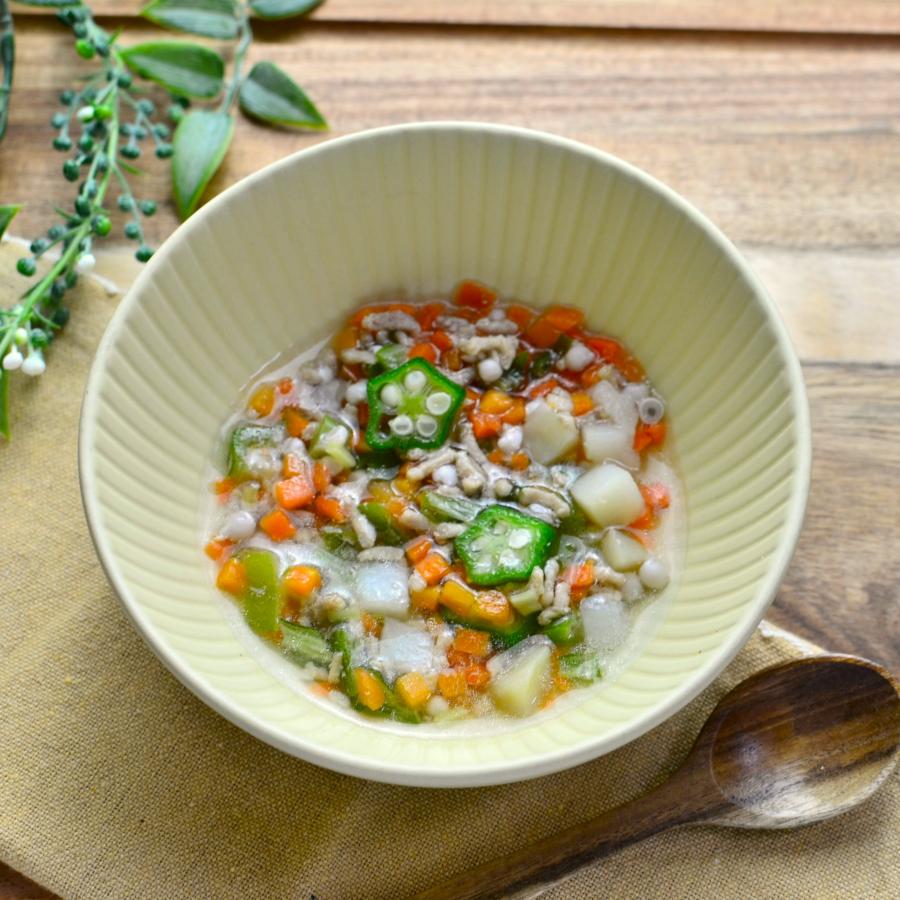 犬用 おやつ コトコト野菜スープ 冷凍品 Majesticxpress Com