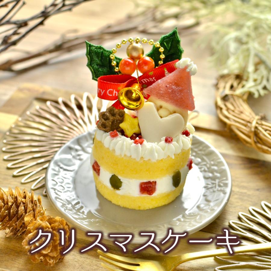 22年 犬用 クリスマスケーキ 完全予約販売 数量限定 冷凍品 S0002 しろいぬカフェ ヤフーショップ 通販 Yahoo ショッピング