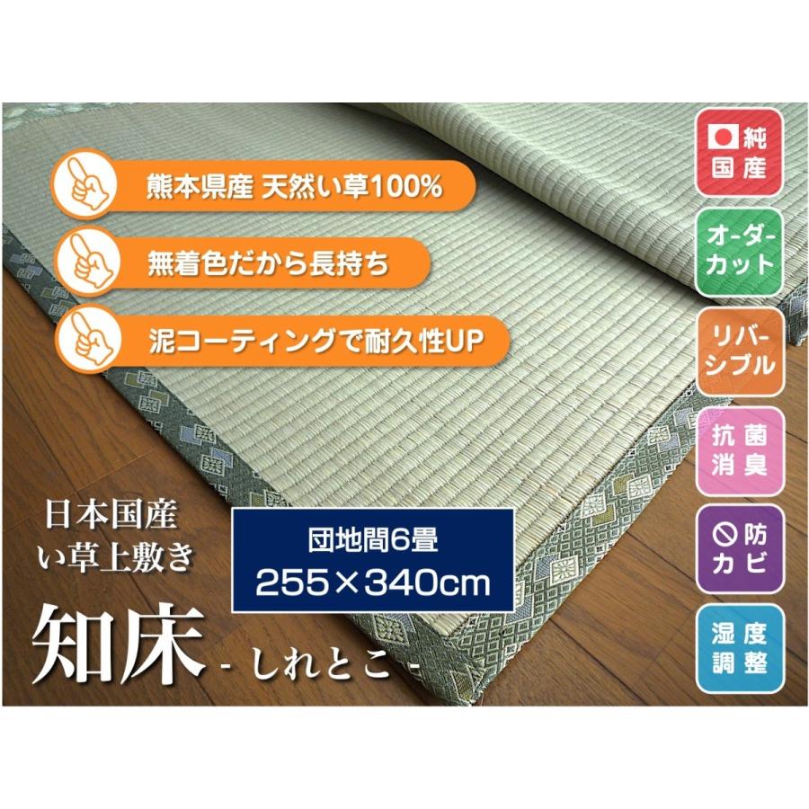 熊本県産 天然い草 上敷き ござ 団地間 6畳 純日本国産 255×340cm 知床 サイズオーダー可 選べる縁 :igusa-uwajiki