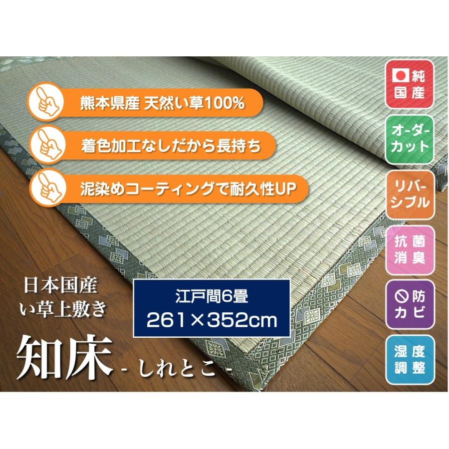 熊本県産 天然い草 上敷き ござ 江戸間 6畳 純日本国産 261×352cm 知床 サイズオーダー可 選べる縁 :igusa-uwajiki