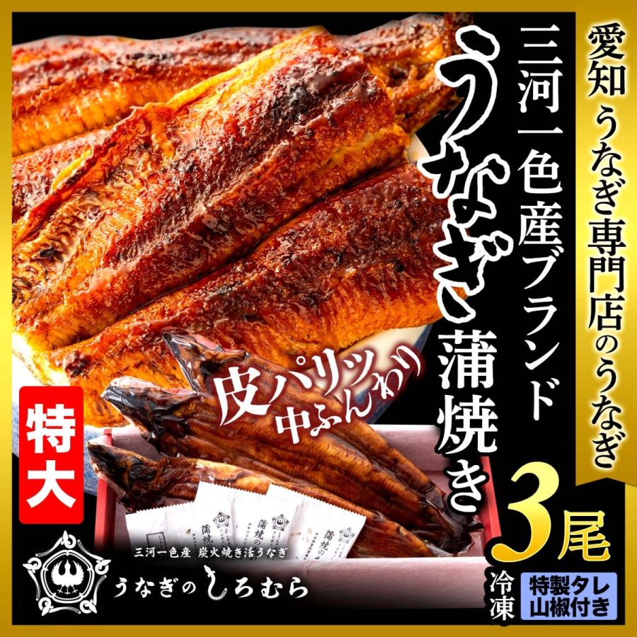 見事な創造力 TK-3 うなぎ ギフト 炭火焼き 三河一色産 国産 ウナギ 鰻 3尾 特大 うなぎ 特大 三河一色産 国産 うなぎ ウナギ 鰻 170g前後) (一尾 3尾 - 魚介類、海産物 - www.affaires-sociales.gouv.cg 見事な創造力 TK-3 うなぎ ギフト 炭火焼き 三河一色産 国産 ウナギ 鰻 3尾 特大 うなぎ 特大 三河一色産 国産 うなぎ ウナギ 鰻 170g前後) (一尾 3尾 - 魚介類、海産物 - www.affaires-sociales.gouv.cg