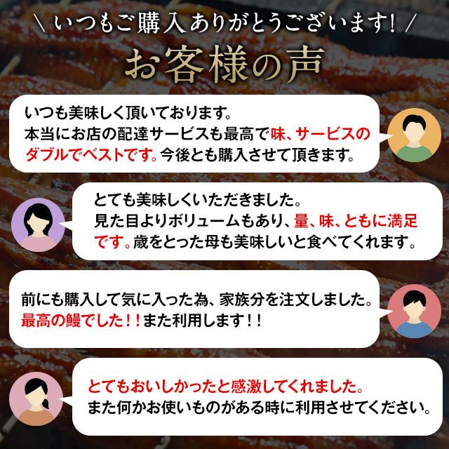うなぎ 国産 カット 1kg Wakeari1 3 Cm 1000 蒲焼き 1パック40g前後 特製タレ 山椒付 愛知県 三河一色産 鰻 ウナギ ギフト 送料無料 Wac 1000 うなぎのしろむら 通販 Yahoo ショッピング
