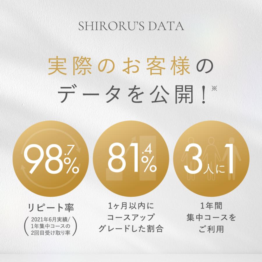 SHIRORU crystal whip black 4本セット SHIRORU SHIRORU公式 シロル正規品 クリスタルホイップ ブラック