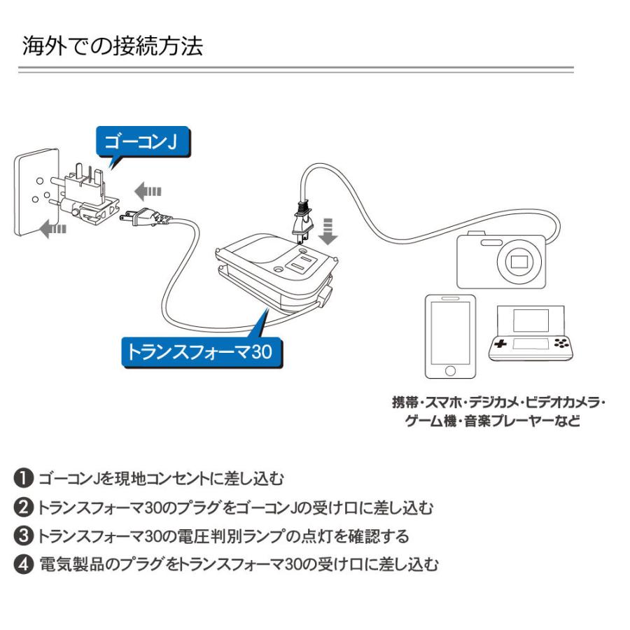 ROAD WARRIOR（ロードウォーリア） RWG108 ゴーコン変圧器セット 変圧