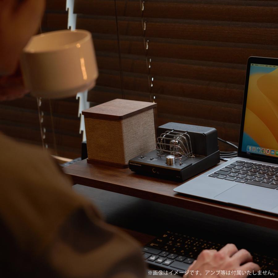 SoundWarrior SW-SP2 | キューブ型 スピーカー 1Way+パッシブ SoundWarrior SW-SP2 | キューブ型 スピーカー 1Way+パッシブ
