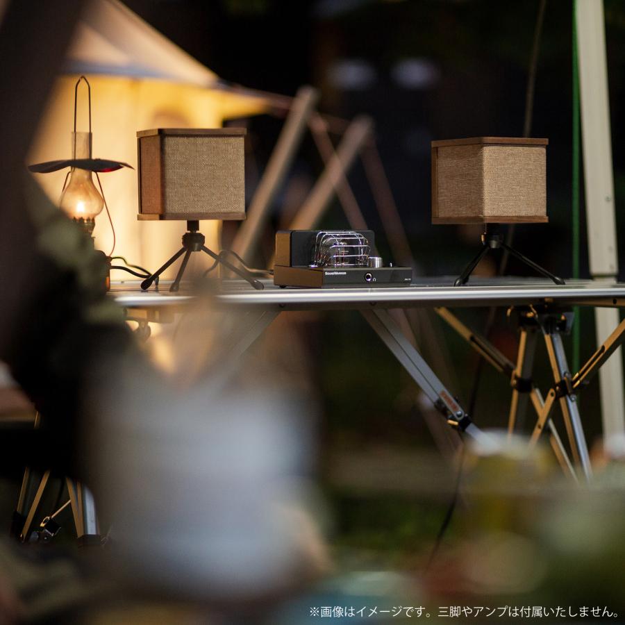 SoundWarrior SW-SP2 | キューブ型 スピーカー 1Way+パッシブ SoundWarrior SW-SP2 | キューブ型 スピーカー 1Way+パッシブ
