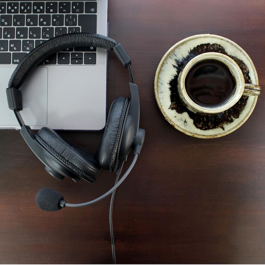 SOUNDWARRIOR SW-TR2-USB | 密閉型 両耳タイプ ヘッドセット 単一指向