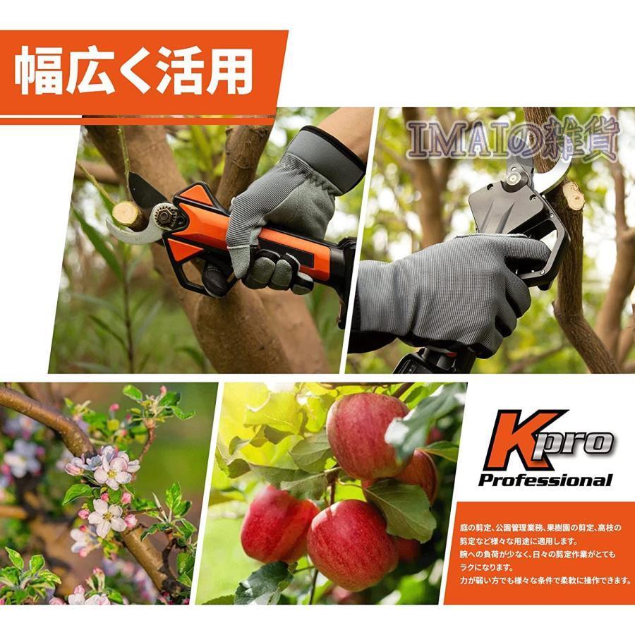 電動剪定バサミ テフロン非粘着性コーディング刃 16.8V コードレス 充電式剪定ばさみ 軽さ・スピード・切れ味の頂点機種 電動枝切り鋏 持ち運び便利 プロ剪定鋏 電動剪定バサミ テフロン非粘着性コーディング刃 8V コードレス 充電式剪定ばさみ 軽さ スピード 切れ味の頂点機種 電動枝切り鋏 持ち運び便利 プロ剪定鋏