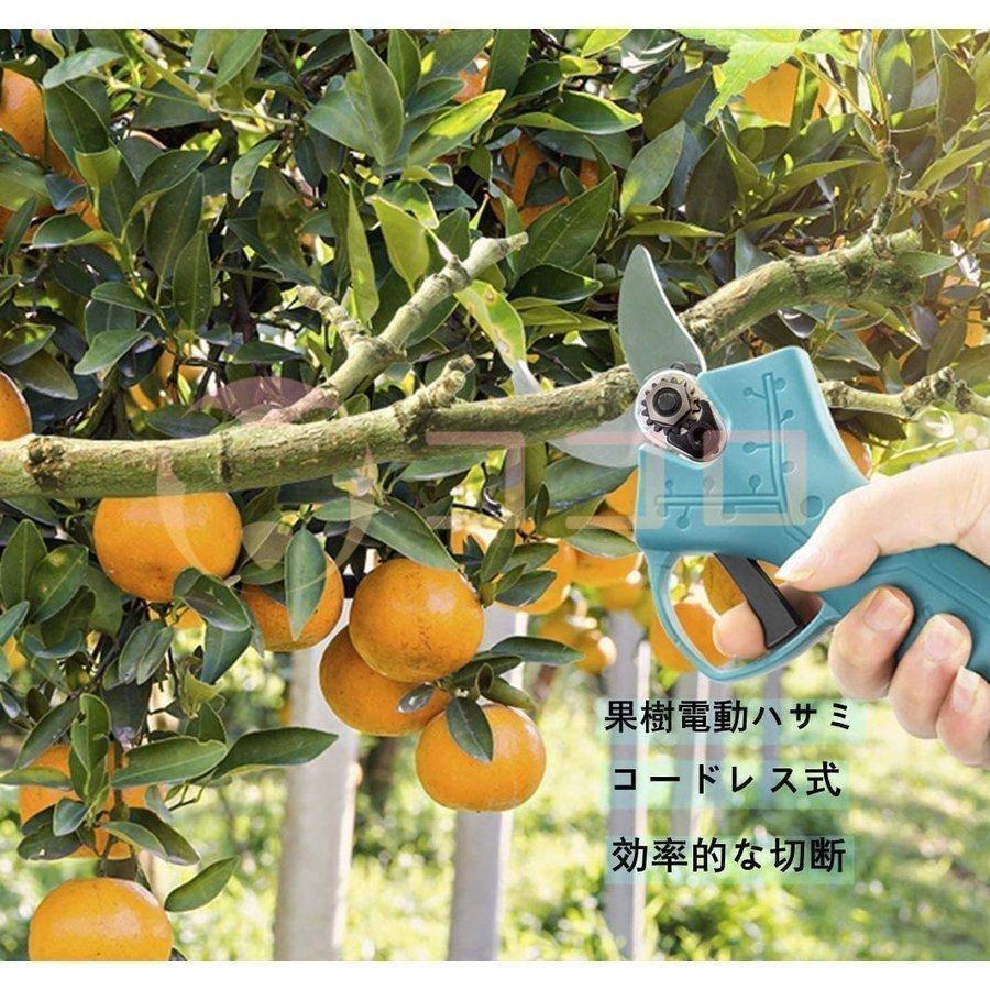 剪定ばさみ 電動剪定バサミ 電動ハサミ 本体のみ マキタ18Vバッテリー対応 切断直径30mm 庭木 枝切り ガーデニング 果樹用0.65kg【バッテリー充電器別売】 剪定ばさみ 電動剪定バサミ 電動ハサミ 本体のみ マキタ18Vバッテリー対応 切断直径30mm 庭木 枝切り ガーデニング 果樹用0 65kg バッテリー充電器別売