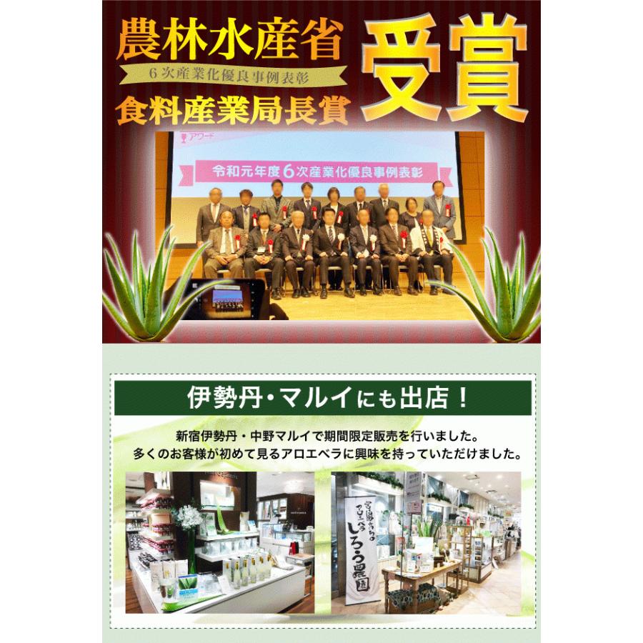 アロエベラジュース ライチ風味 7ml 沖縄 宮古島産 有機jas 送料無料 102 しろう農園 通販 Yahoo ショッピング