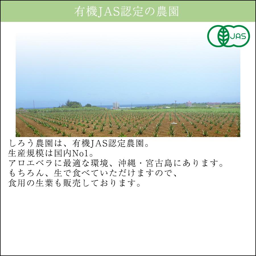 アロエベラジュース［プレーン味 720ml 3本］沖縄・宮古島産