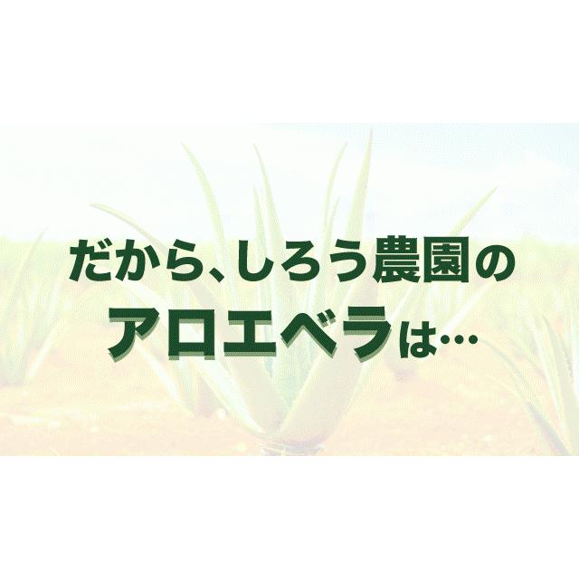 アロエベラ 食用 生葉 4〜4.5kg 沖縄・宮古島産｜有機JAS オーガニック 国産アロエ |  | 10
