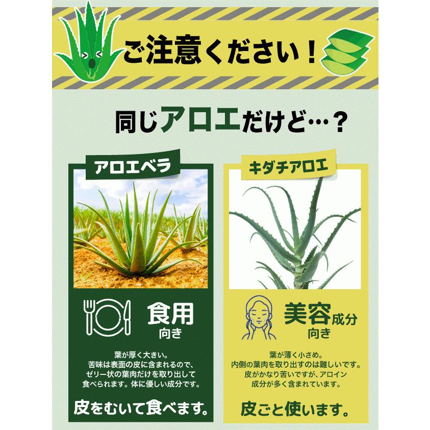 アロエベラ 食用 生葉 4〜4.5kg 沖縄・宮古島産｜有機JAS オーガニック
