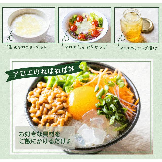 アロエベラ 食用 生葉 4〜4.5kg 沖縄・宮古島産｜有機JAS オーガニック 国産アロエ |  | 18