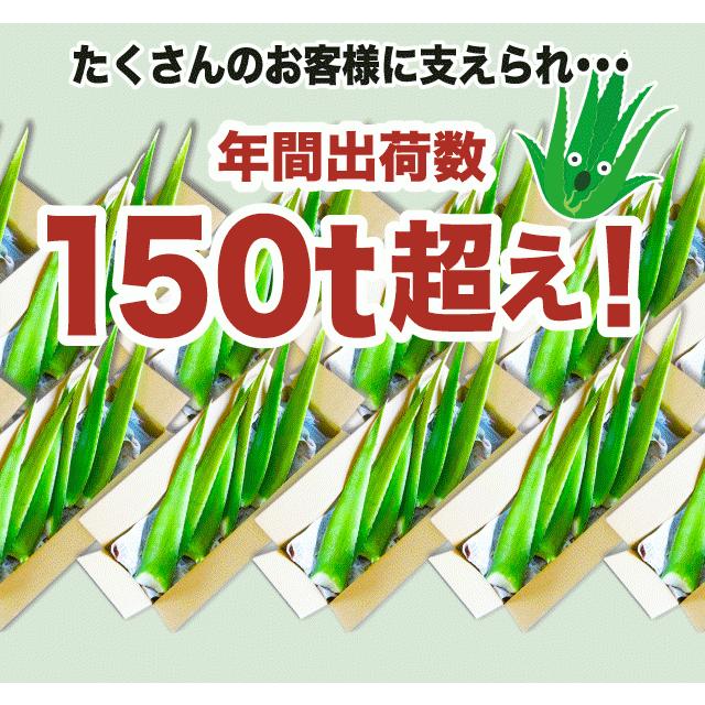アロエベラ 食用 生葉 4〜4.5kg 沖縄・宮古島産｜有機JAS オーガニック 国産アロエ |  | 02
