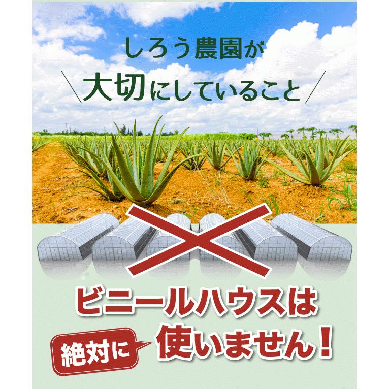 アロエベラ 食用 生葉 4〜4.5kg 沖縄・宮古島産｜有機JAS オーガニック 国産アロエ |  | 04