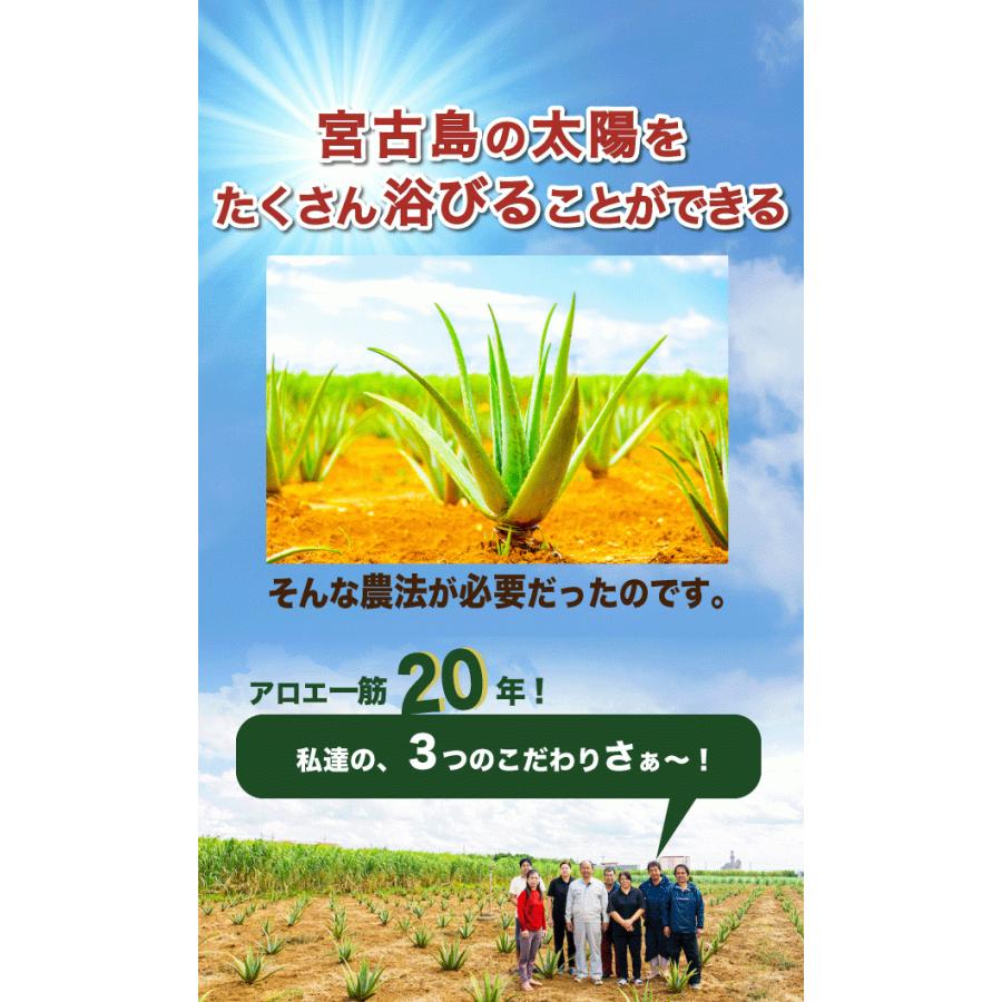 アロエベラ 食用 生葉 4〜4.5kg 沖縄・宮古島産｜有機JAS オーガニック 国産アロエ |  | 06