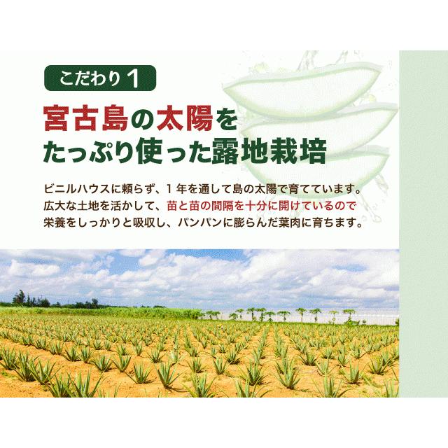 アロエベラ 食用 生葉 4〜4.5kg 沖縄・宮古島産｜有機JAS オーガニック 国産アロエ |  | 07